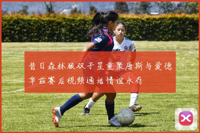 昔日森林狼双子星重聚唐斯与爱德华兹赛后视频通话情谊永存